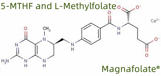 5-MTHF आणि L-Methylfolate