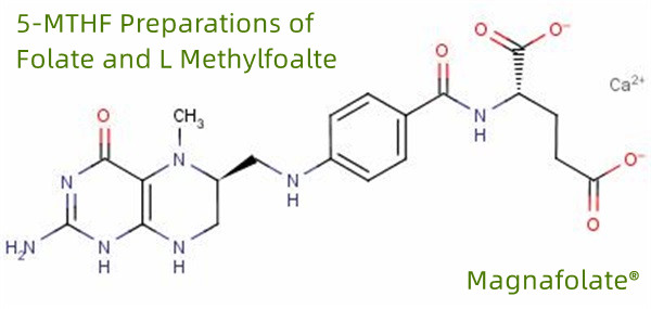 5-MTHF फोलेट आणि एल मेथिलफोल्टेची तयारी