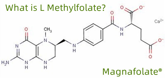 एल-मिथिलफोलेट म्हणजे काय?