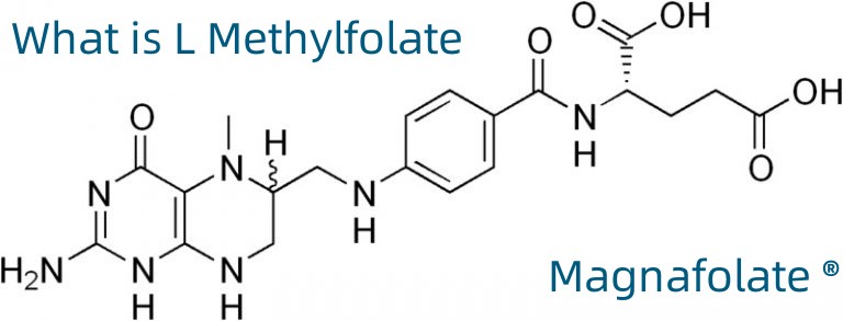 L-5-Methyltetrahydrofolate कॅल्शियम CAS क्रमांक:151533-22-1