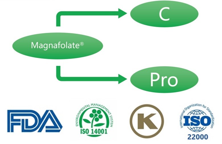 कॅल्शियम L-5-methyltetrahydrofolate म्हणजे काय? पुरवठादार काय आहेत?